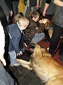 Heimtiermesse 2009   083